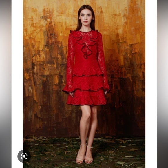 Alexis Tracie Long Sleeve Ruffle Mini Dress. Size Small. EUC!! - Picture 1 of 12